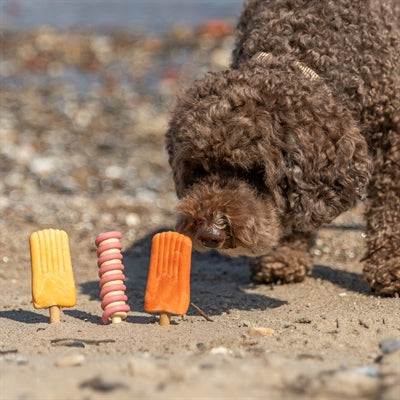 Trixie Ice Pop Oranje
