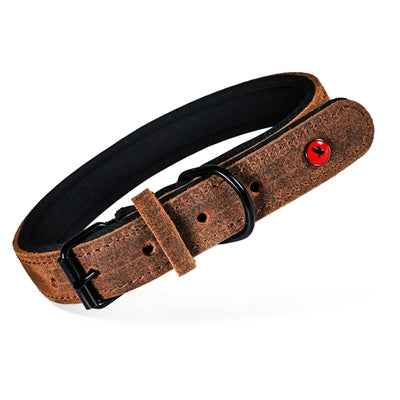 Zolux Expert Halsband Hond Premium Leer / Neopreen Bruin 50X2 Cm