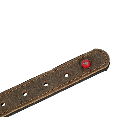 Zolux Expert Halsband Hond Premium Leer / Neopreen Bruin 50X2 Cm