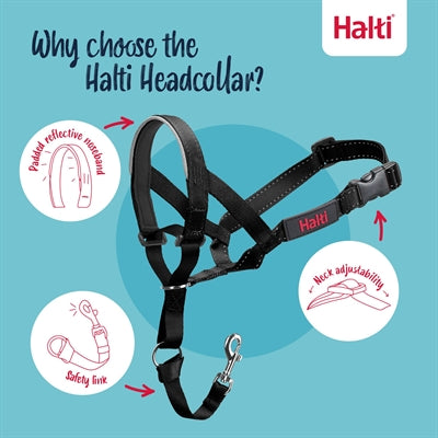 The Company Of Animals Company Of Animals Halti Headcollar Zwart Nr 2