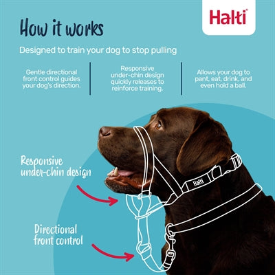 The Company Of Animals Company Of Animals Halti Headcollar Zwart Nr 2