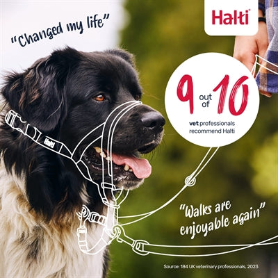The Company Of Animals Company Of Animals Halti Headcollar Zwart Nr 2