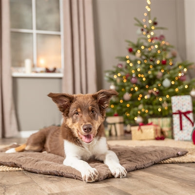 Trixie Ligmat Hond Stars Hoekig Lichtbruin 100X70X3,5 Cm